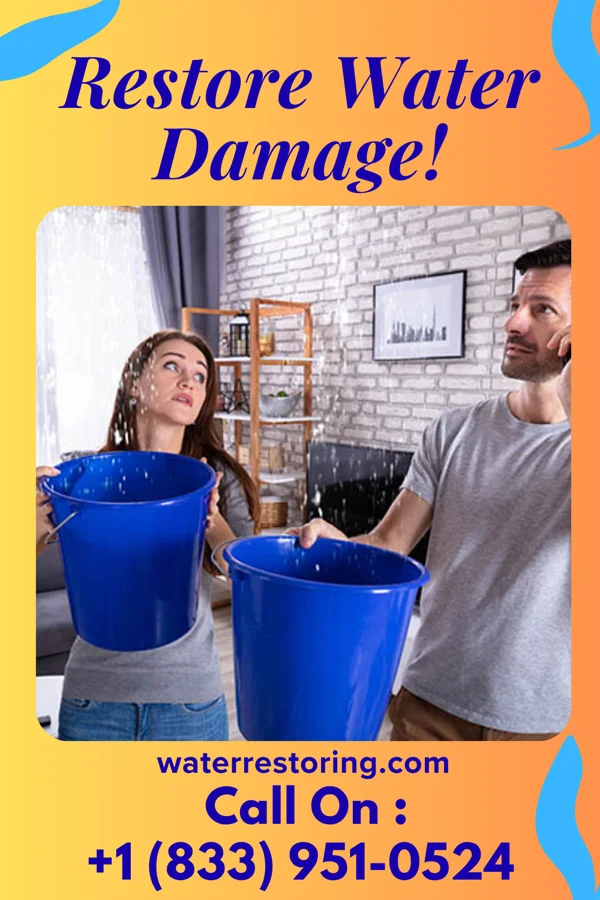 water restoration Eco Water Removal & Associates Presque Isle