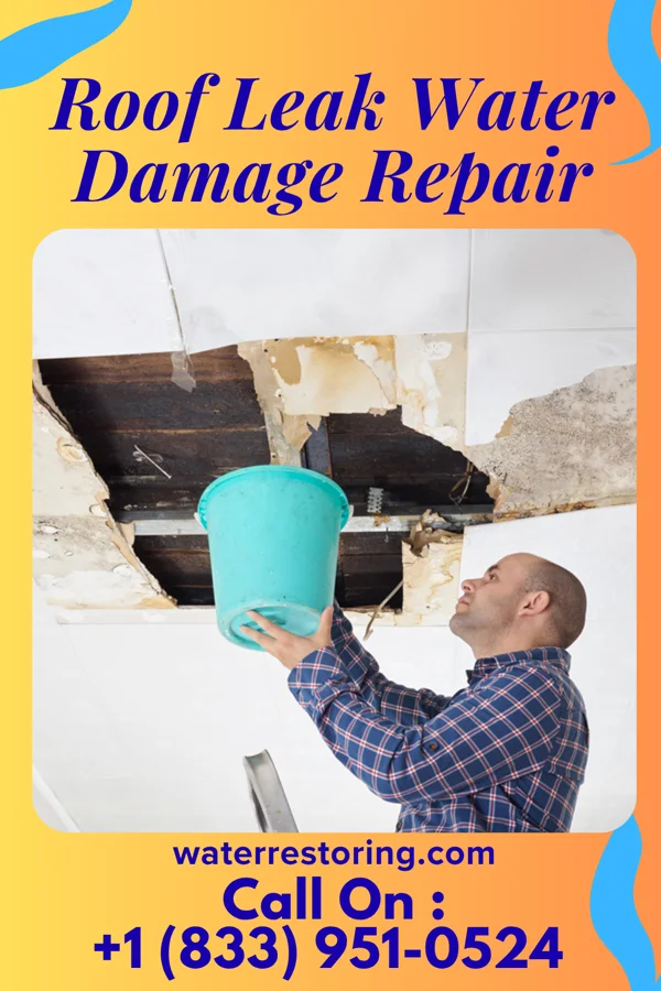 Roof Leak Water Damage Repair in Presque Isle, ME