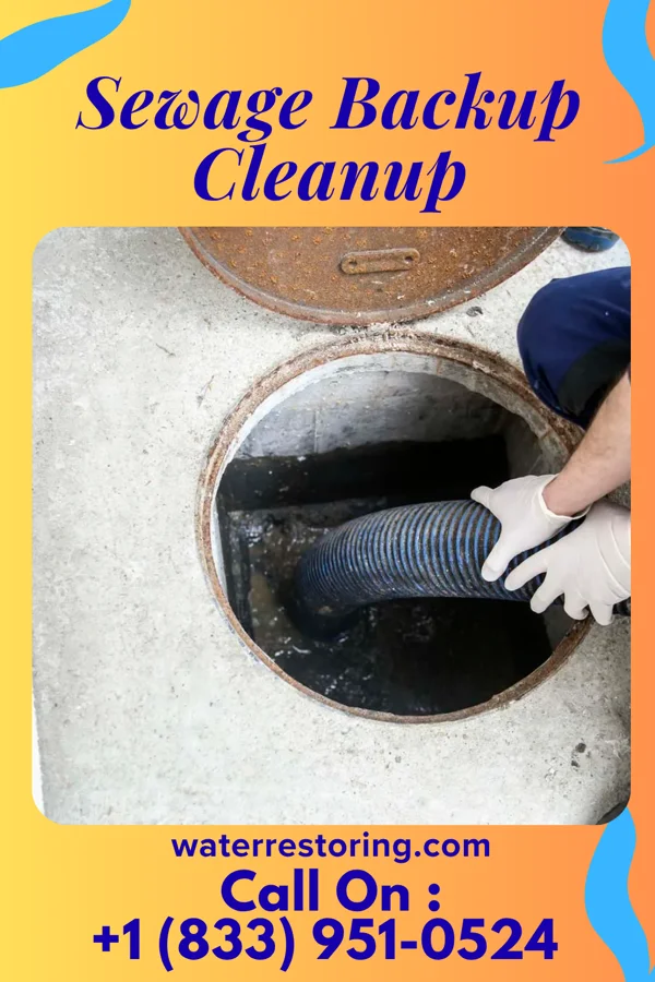 Sewage Backup Cleanup in Presque Isle, ME